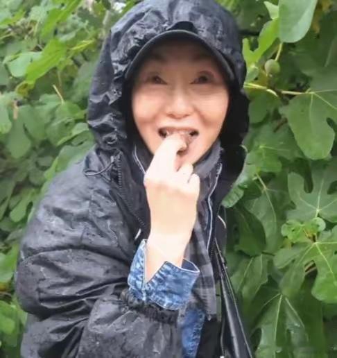 62岁张曼玉晒退休生活62岁的张曼玉在社交平台分享自己的退休田园生活。视频里的她