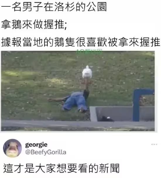 好人配好鹅​​​