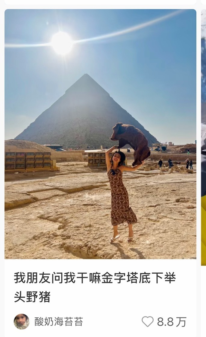 小图太像野猪了啊