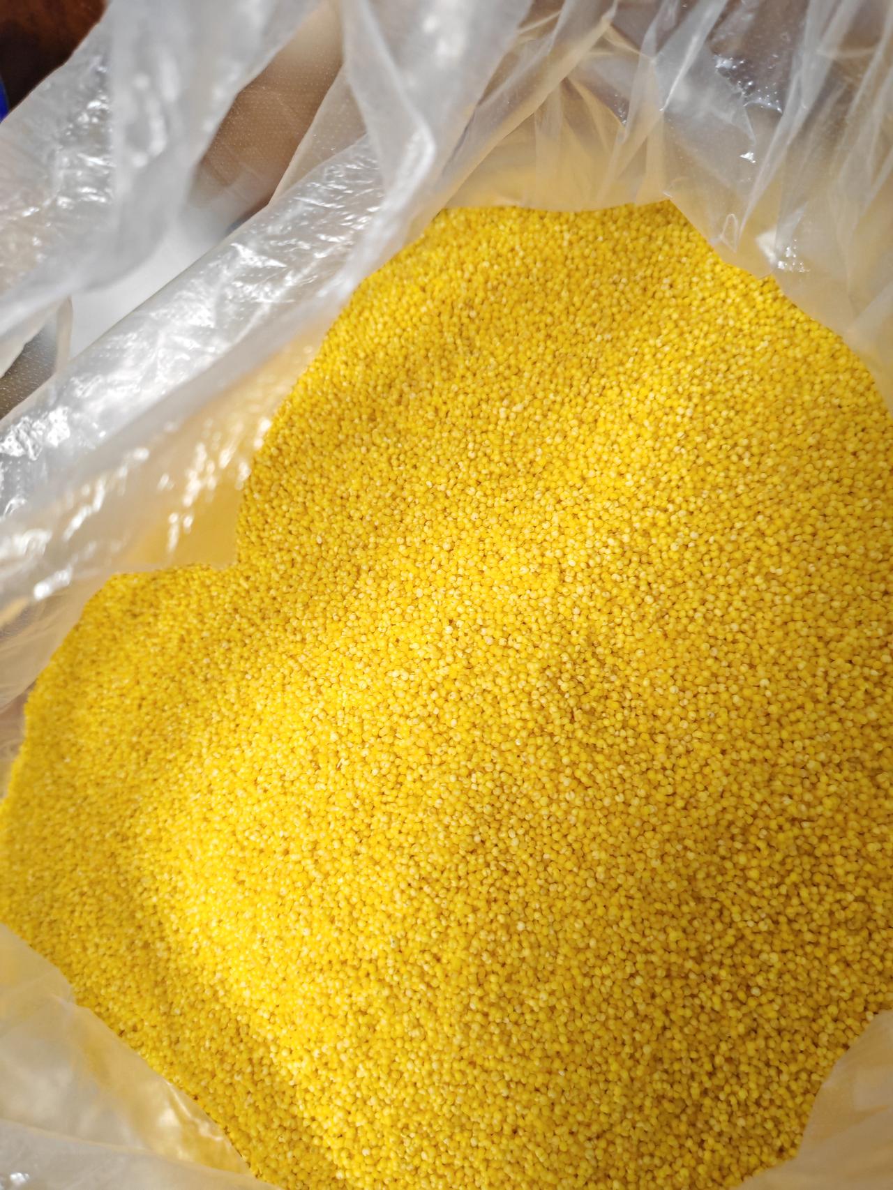 遇见同事卖小米。遛娃时遇见过去的同事在卖小米，是她老公从外地带回来的。她