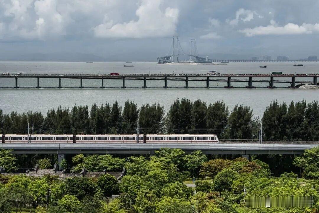 普通人来深圳干什么？这个得先想清楚，是进工厂打螺丝还是大街上摆摊？短期内如此并不