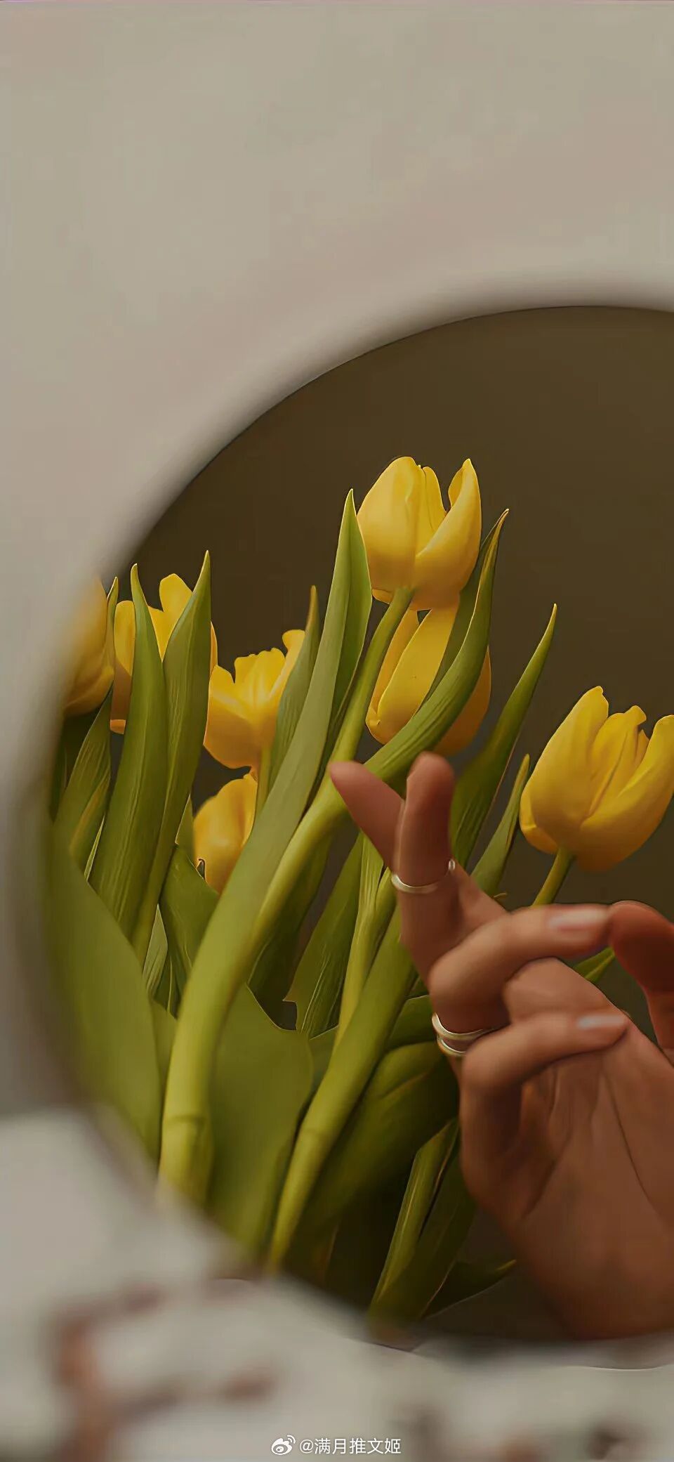 “即使被关在果壳之中，我仍称自己是无限宇宙之王。”——莎士比亚《哈姆雷特》