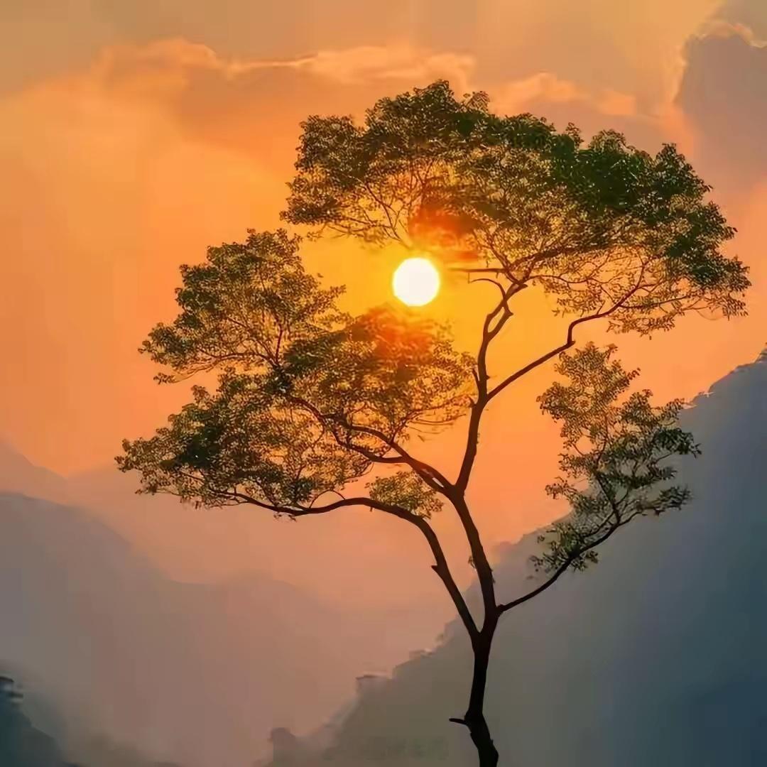 股市涨跌不定，不少有稳定工作、固定收入的人，都动了弃职全职炒股的念头，想靠股市快