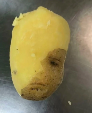 哈哈哈哈哈哈，笑死我了这个洋芋