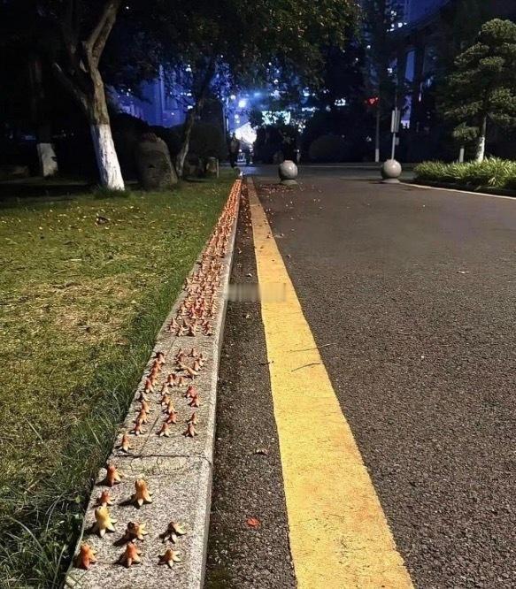 这到底是有多无聊，把我石榴全部浪费了！