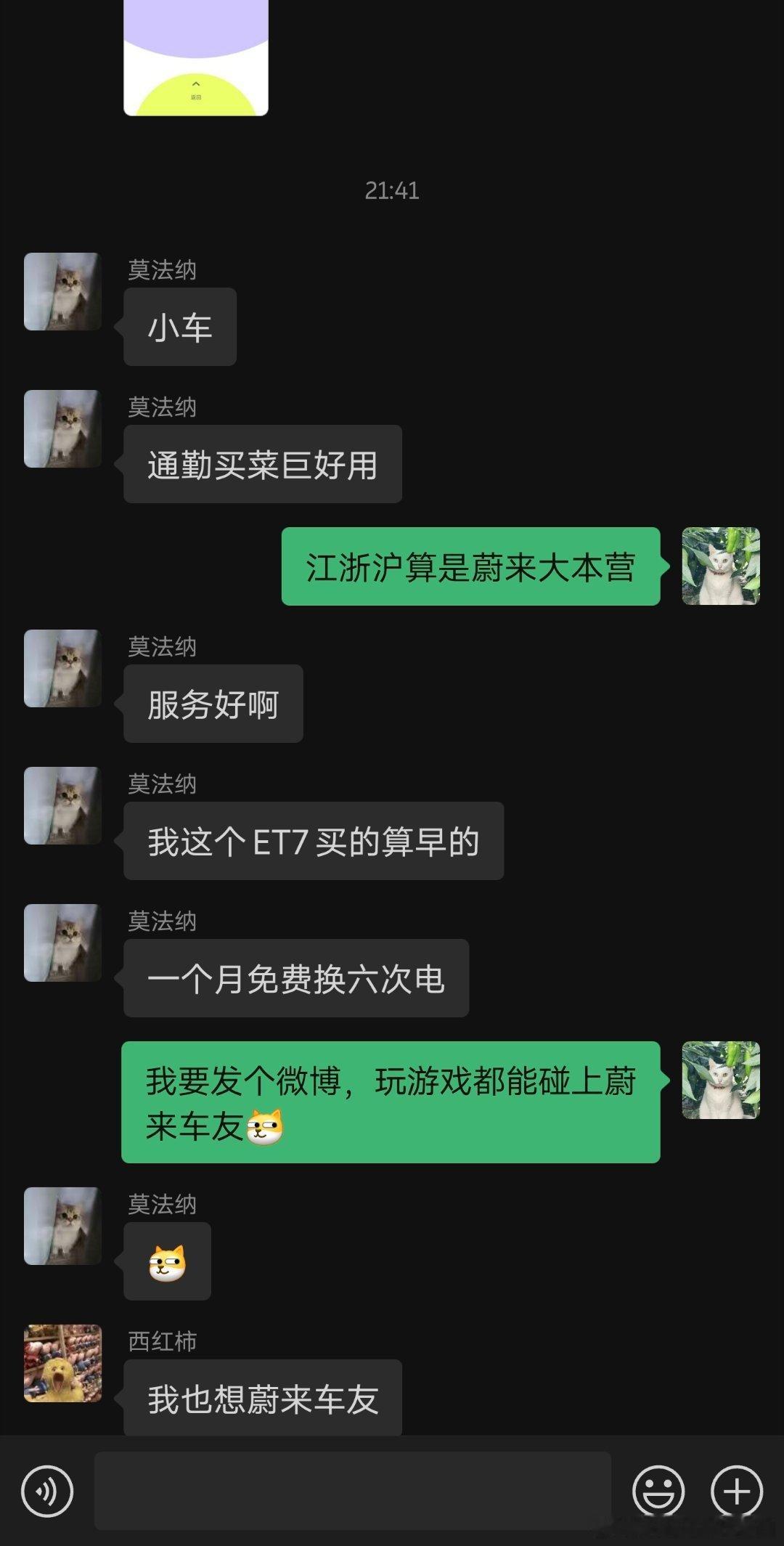 蔚来车友到处都在​起因是下班回家在游戏群里炫耀​用车机打游戏​没想到炸出一位E
