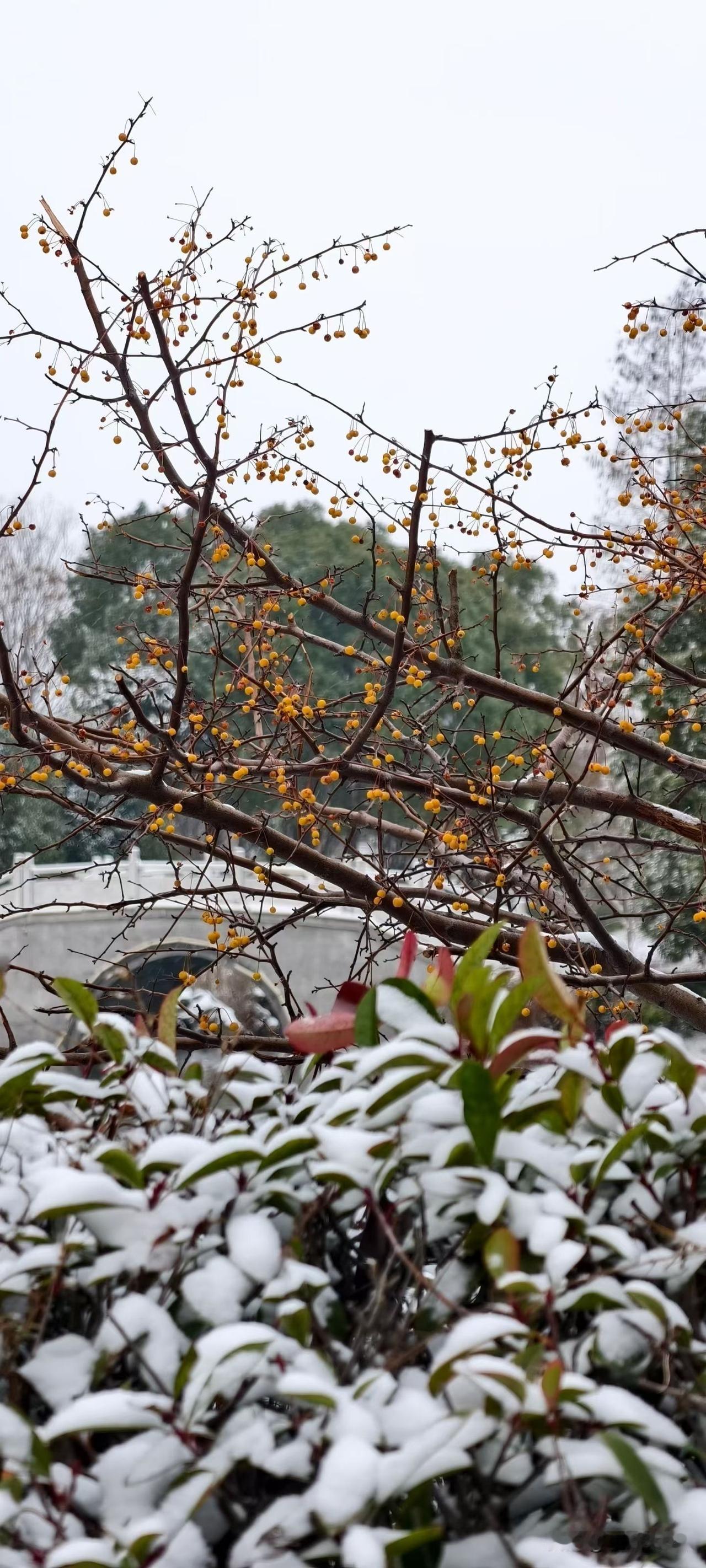 周一天气剧变，武汉地铁客流量少于365万人次[哭哭][哭哭][哭哭]爆料身边