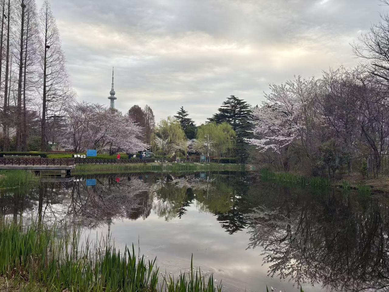 春日生活打卡季青岛海边的春日简直绝了！前几天去打卡，那景色让我直呼惊艳。站在