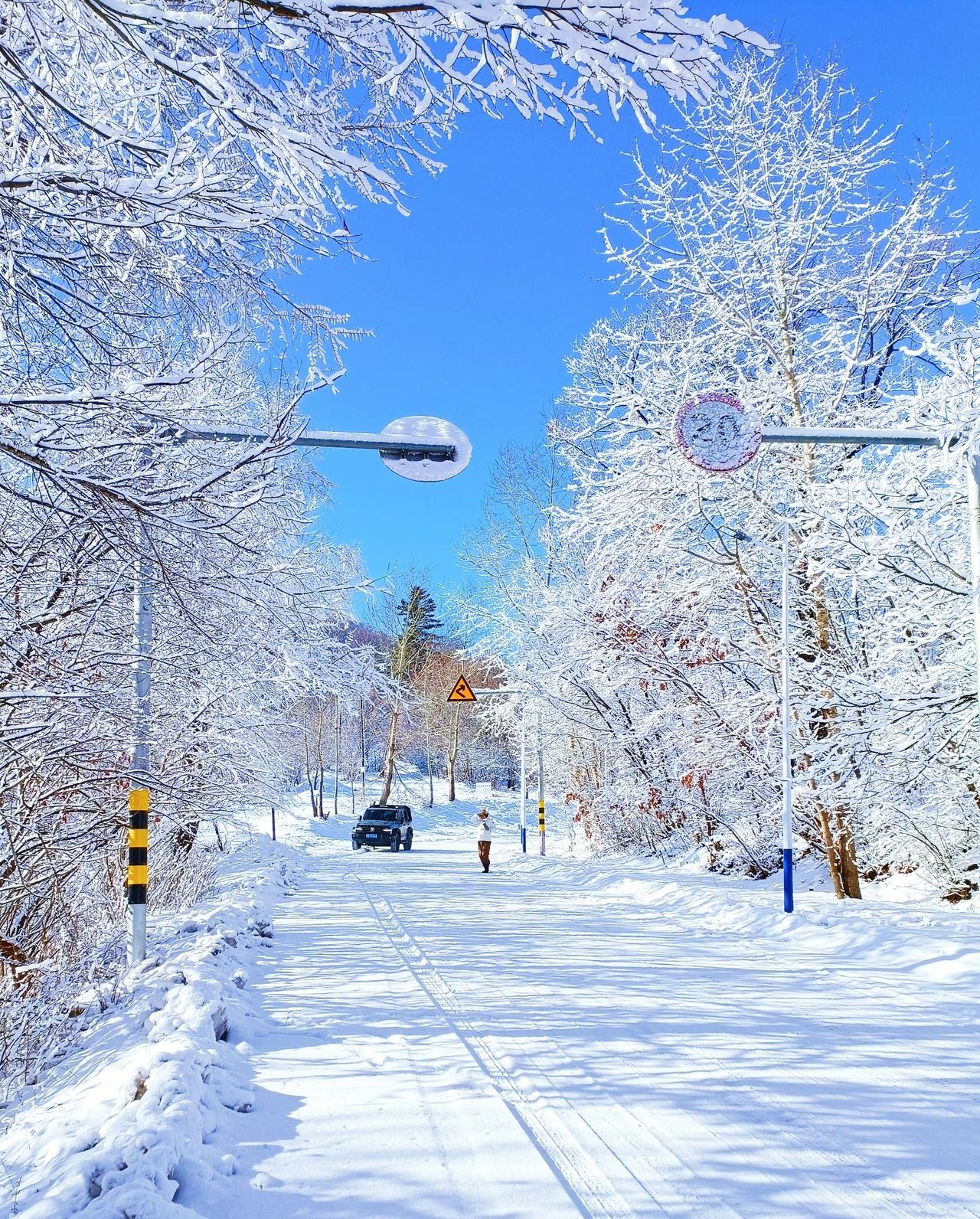 零下10℃裸奔逃亡！吉林嫌犯躲草垛3天饿到麻木，最终栽在这招！家人们谁懂