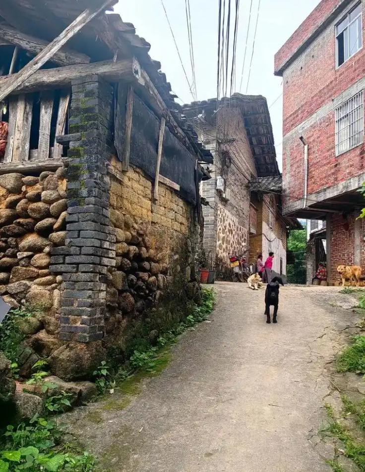 耕南田，住北屋，是生活的智慧南田是指靠近南边的田，这有什么不同呢？就是不容易