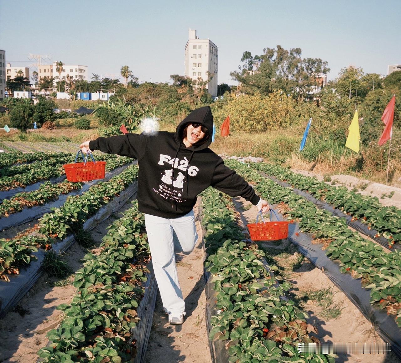 全红婵长发披肩摘草莓！从跳水小魔王到甜妹的成长蜕变2026年1月12日，全