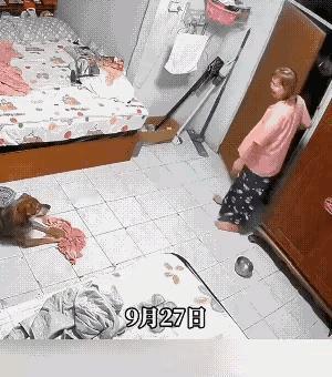 惊到我了！一女子进屋就喊“儿子好！开饭了！”结果“儿子”竟突然扑上来狂咬。