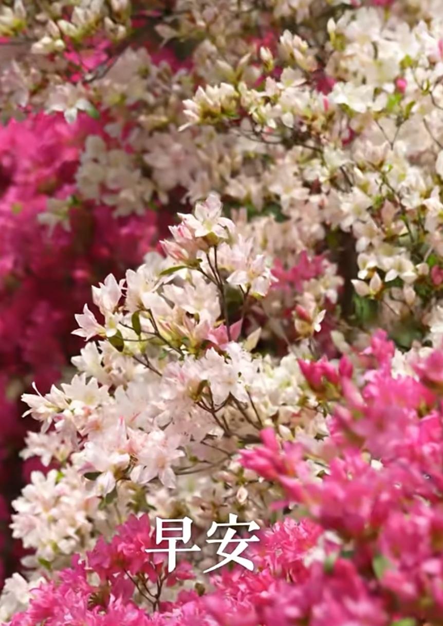 平安路上順順暢暢，健康路上如意吉祥，友情路上地久天長，快樂路上我們共享。