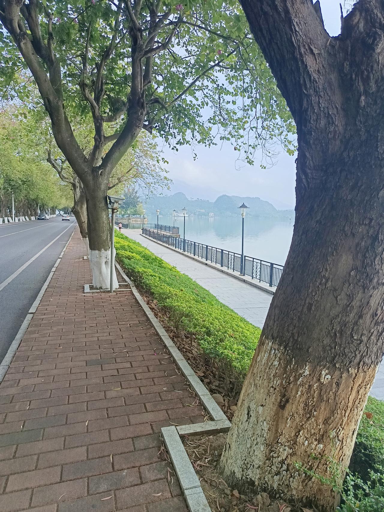 有一件事我不知道怎么说才好我在肇庆发现一个很严重的问题你敢相信吗？这