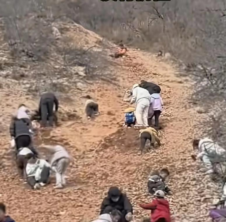 这几天，河南郑州新密市来了很多人，目的只有一个，就是听说这里面可以挖到好东西不