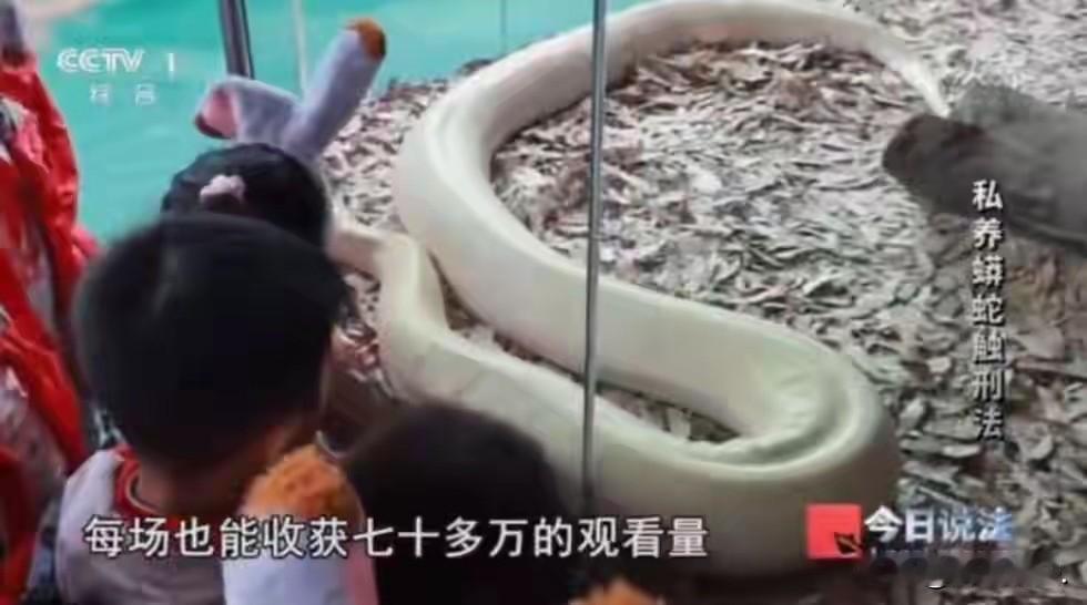 浙江台州，一老汉外出散步，在水沟里发现一条大蛇，老汉吓坏了，同时，认为初春不是蛇