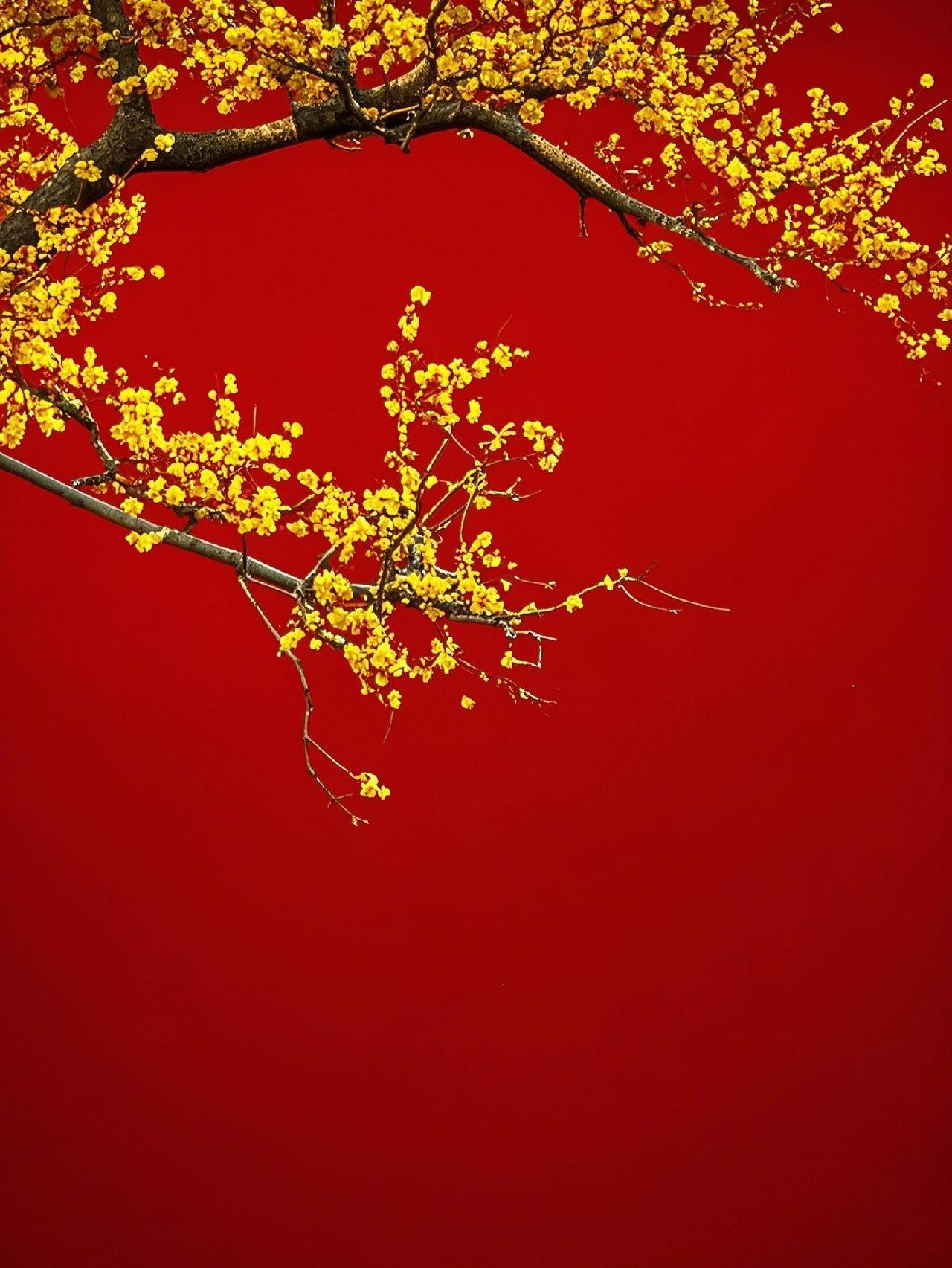 老教师一定要明白一点，不要去指指点点。年轻人，别人要想进步，不是靠你这样手把手地