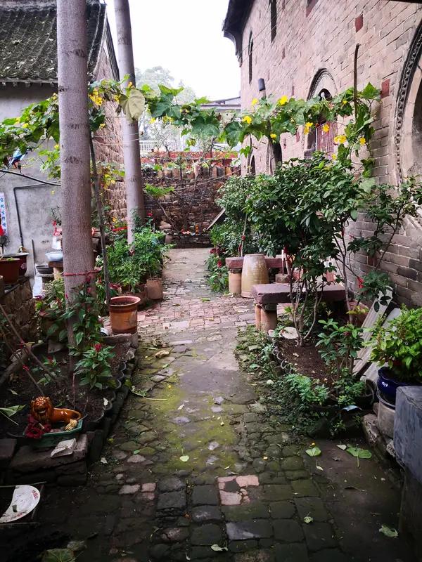 上联：老家小院关红杏；下联：新岁柴门出翠竹。