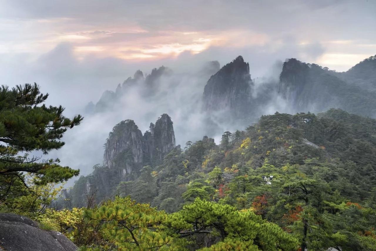 层林尽染，黄山风景区进入最佳赏秋期近日，黄山风景区秋意正浓，景色宜人。漫山遍