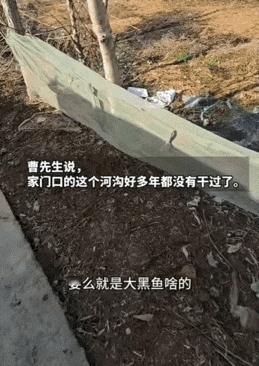 这下解释不清了！河南信阳，男子发现自家一只18斤大鹅不见了，开始还以为被人偷了，