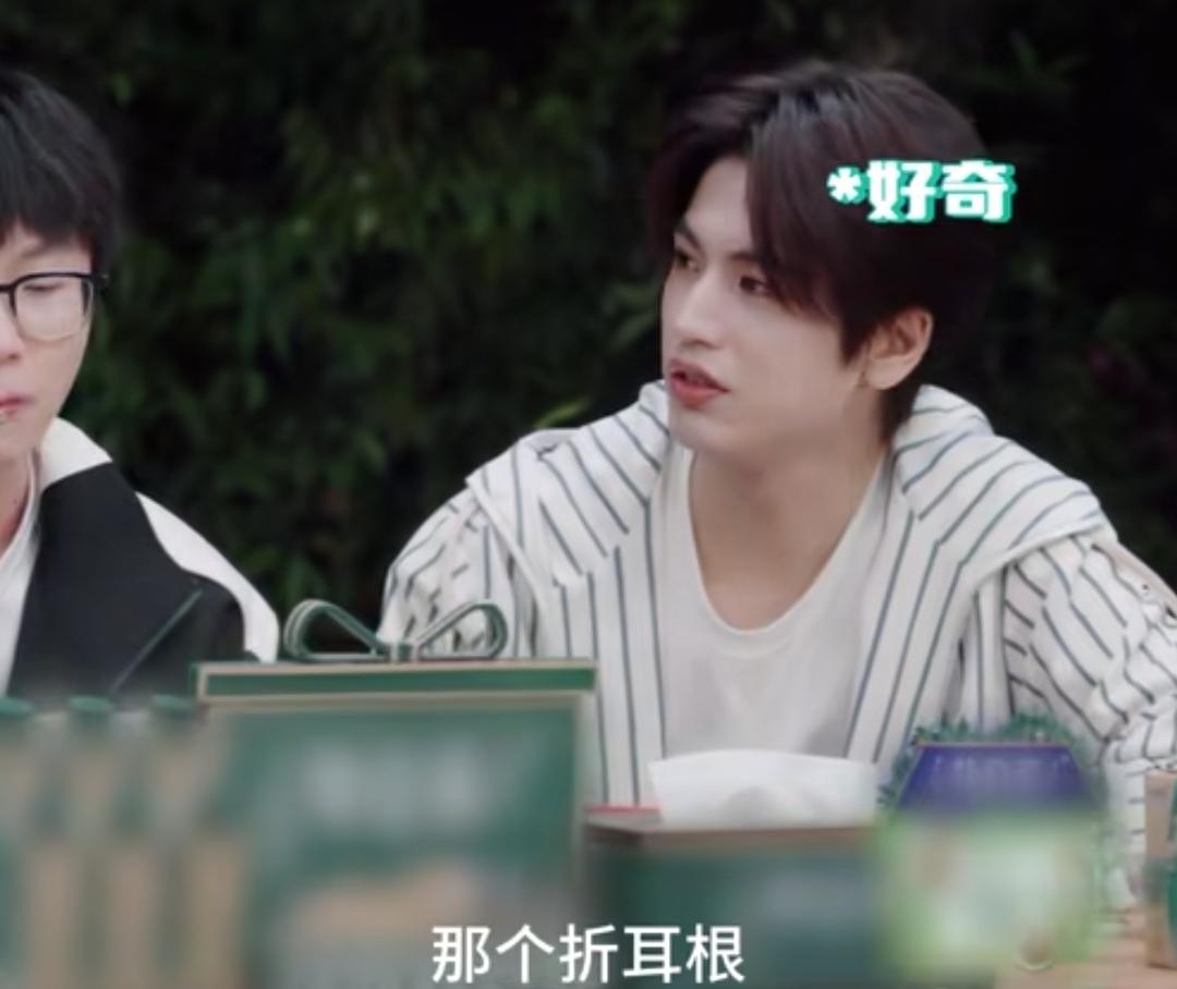 张凌赫问何炅爱不爱吃折耳根，何炅爆料王鹤棣在节目里喝折耳根水！张凌赫：“你吃那