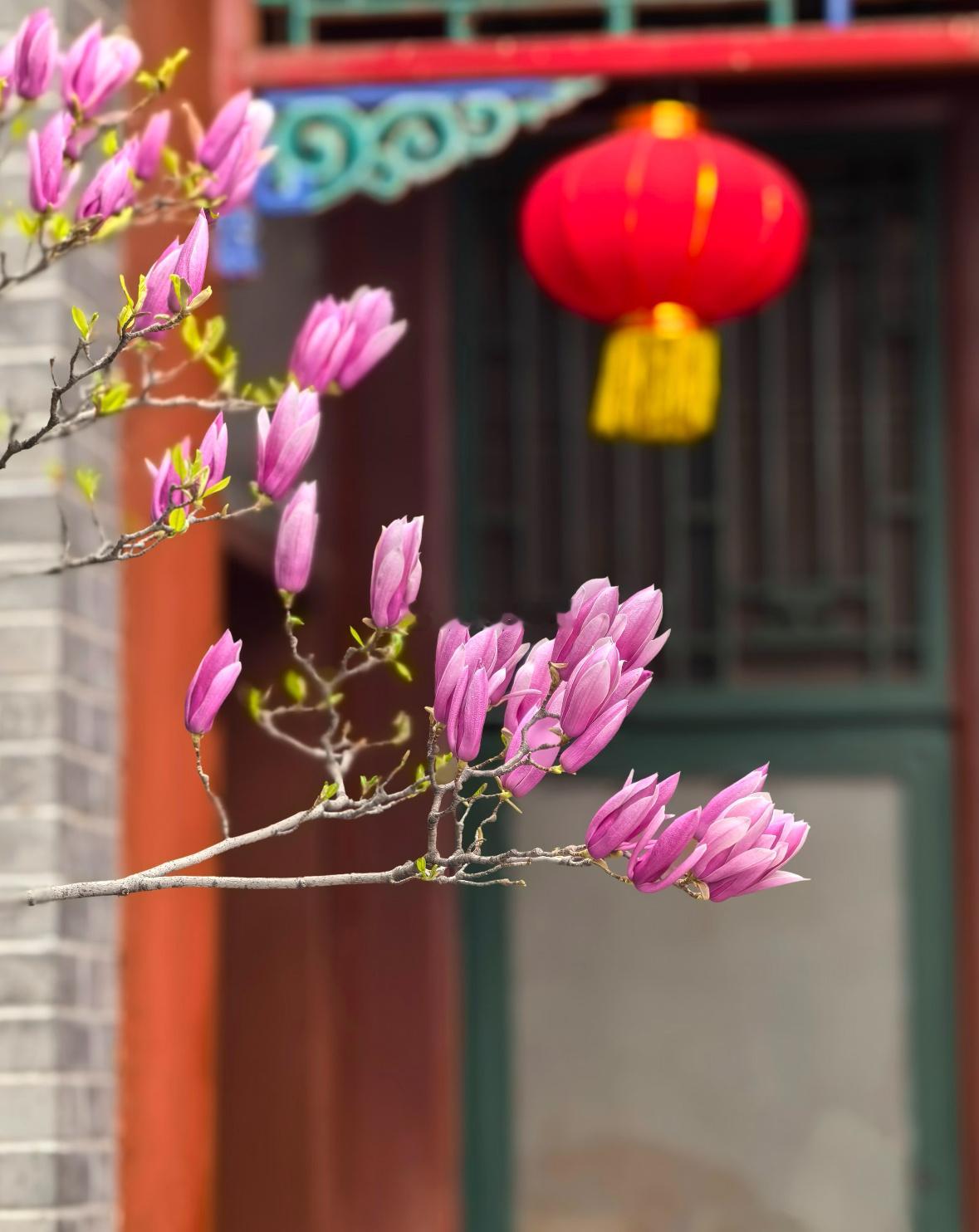 【观微知命·申时提醒】下午15-17点，申时，属金。甲寅日，金克木，这个时辰容易