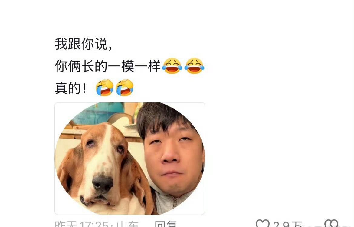 第一次见双胞胎不是一个物种"第一次见双胞胎不是一个物种"是2026年初爆火的网络