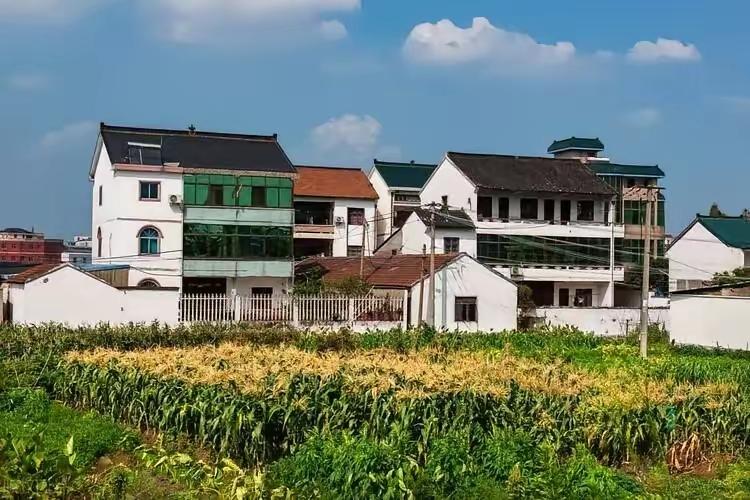 我儿媳嫁过来一年多了，我发现个规律，不管我买什么水果零食放家里，她基本不碰，原封