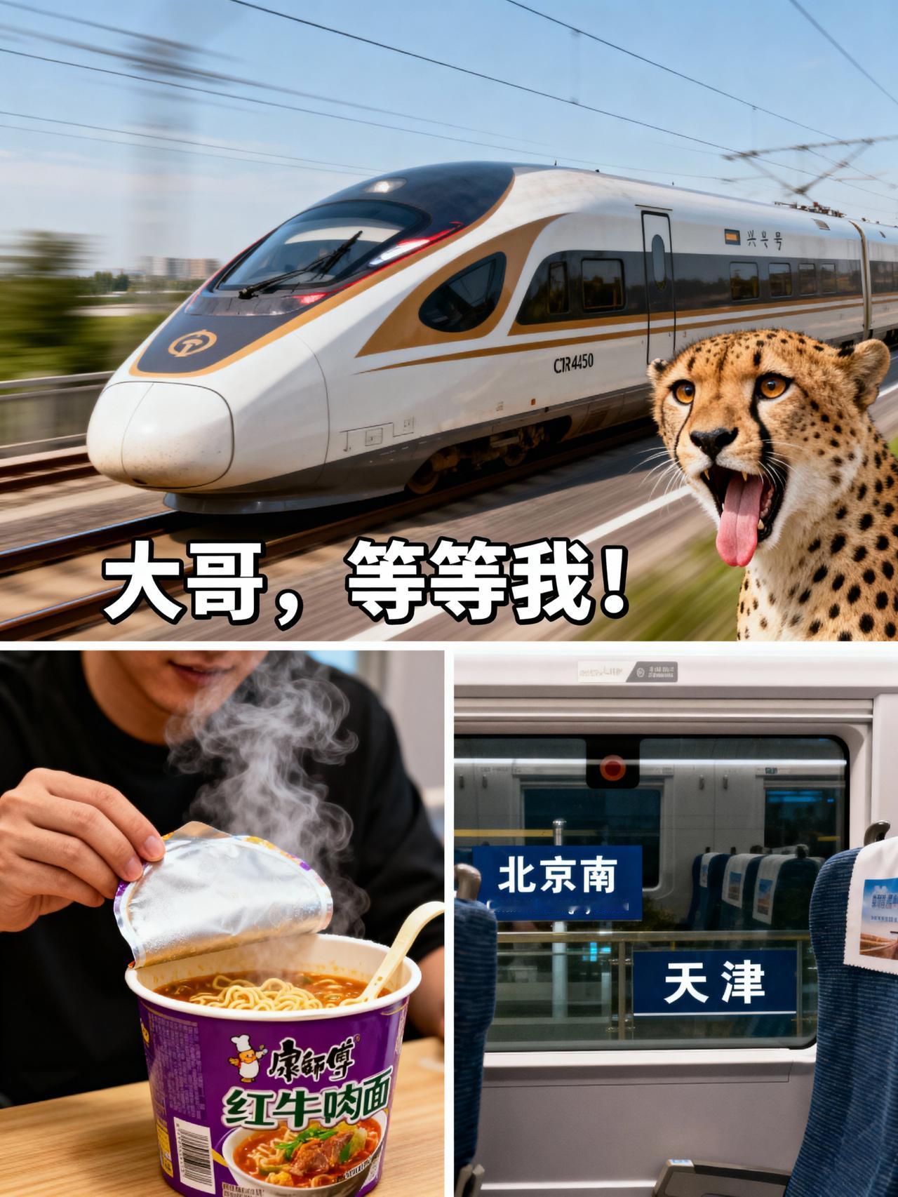 家人们谁懂啊？咱中国的CR450动车组简直是高铁界的博尔特🏃♂️！去年底刚亮相