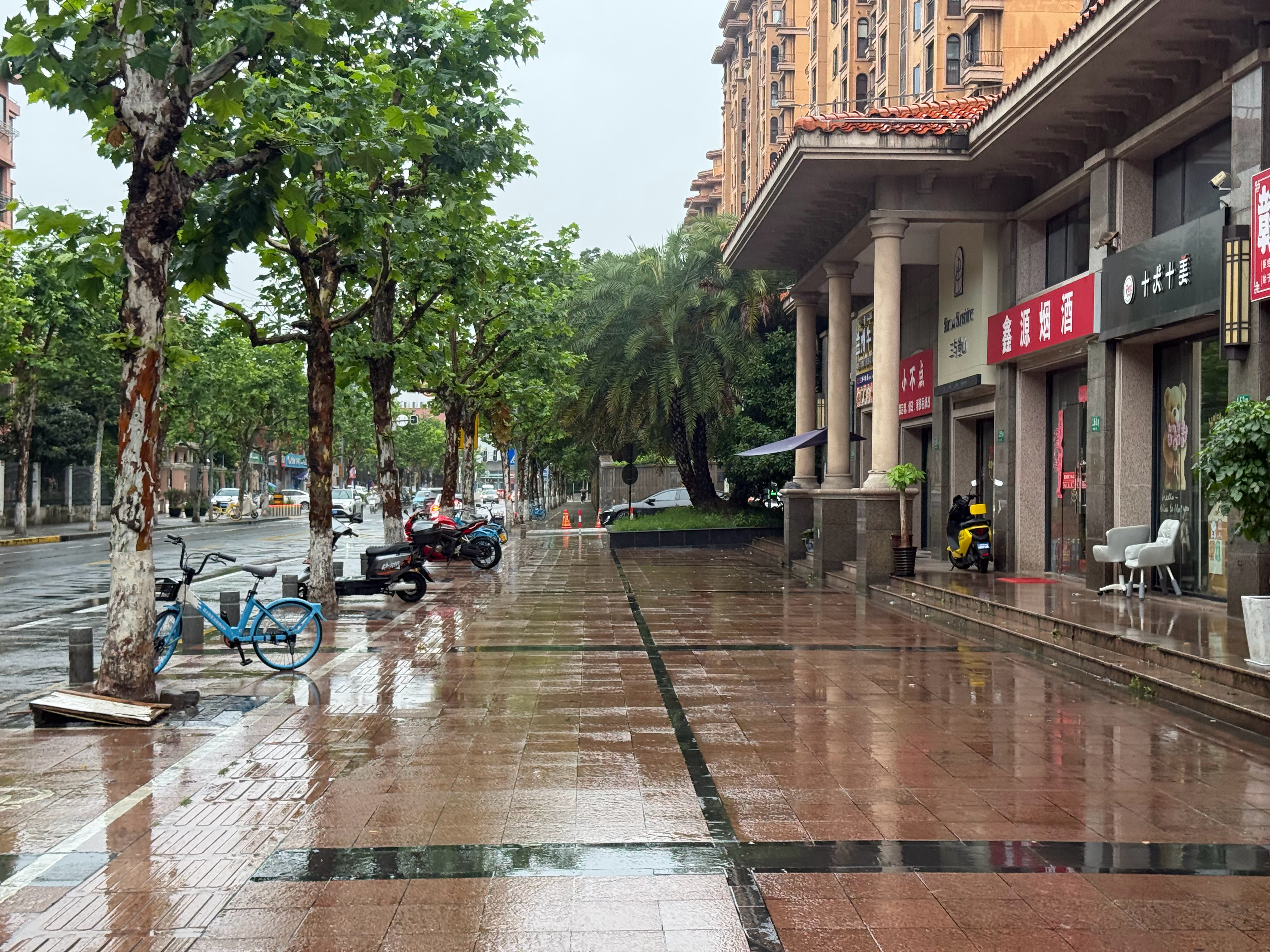 跑步跑步日记：2026年6月24日星期三，每天跑步一公里，连续不间断跑步打卡