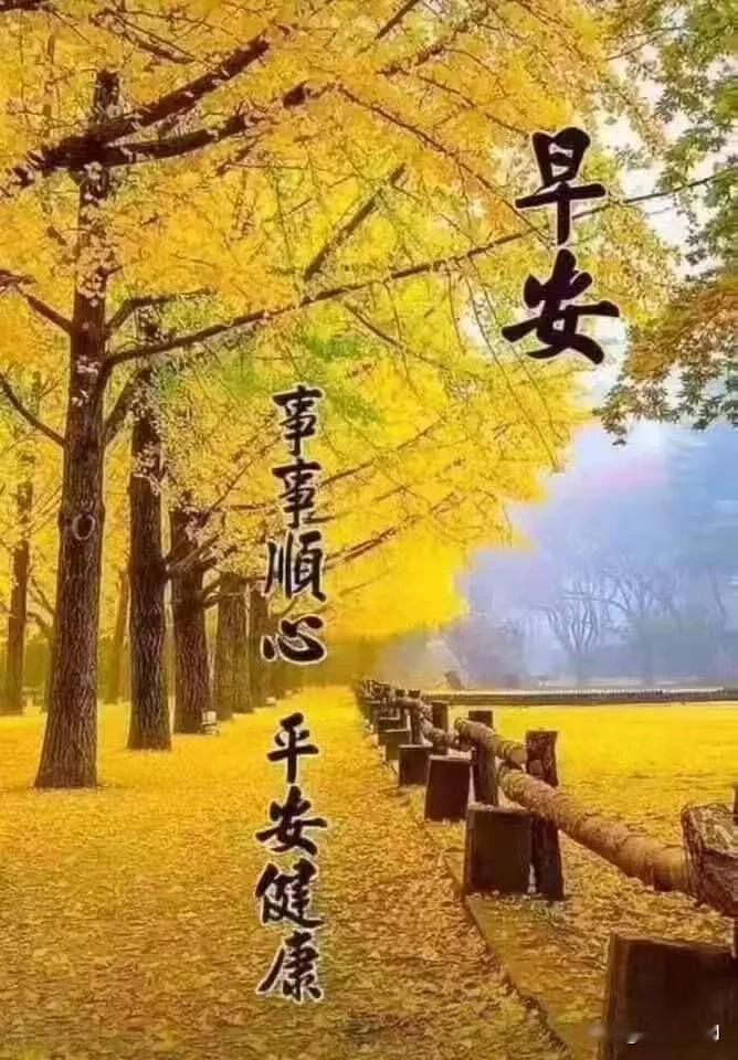 银杏铺金径，秋风送安康，早安，愿事事顺心，平安健康。