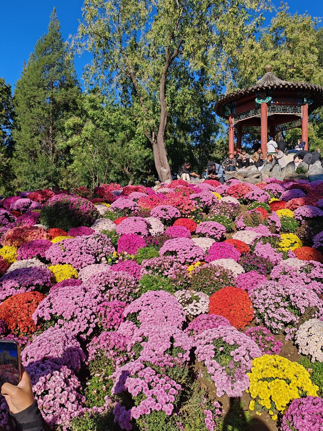 上联：园清树静花添彩，下联：日丽风和月增辉，下联：雅院气新柳舞姿。