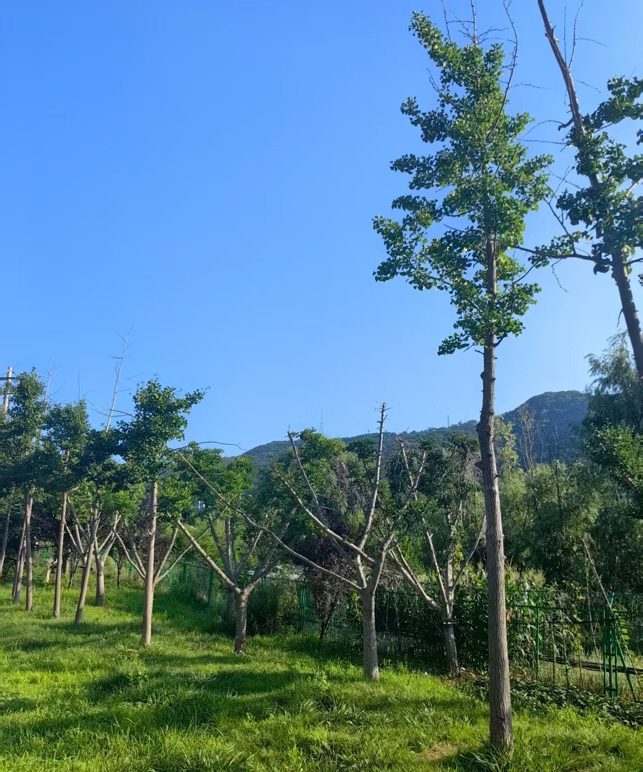 朋友老孙打来电话，说要和老伴来烟台玩几天，并转给我1万块钱，说是“按规矩办”。