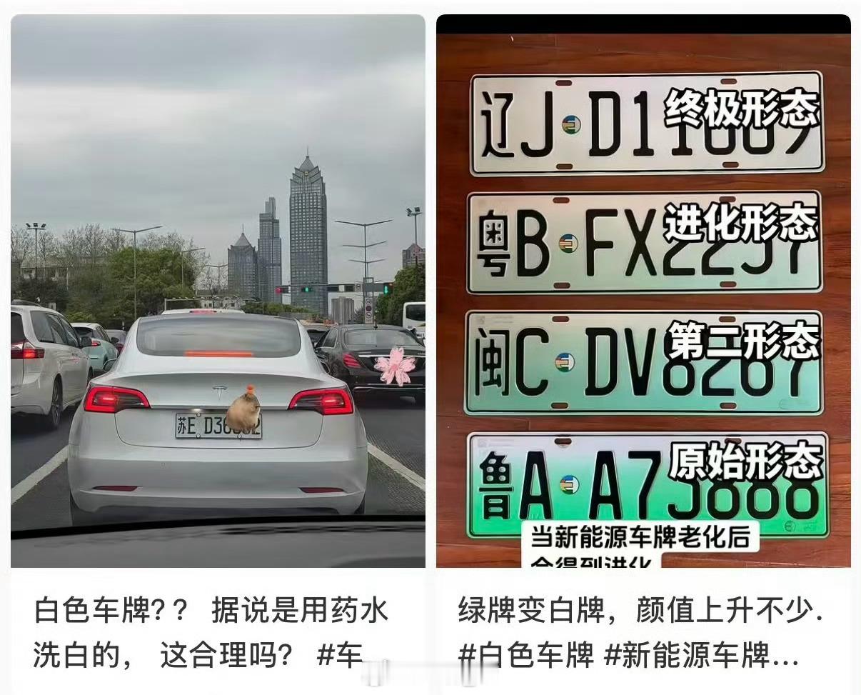新能源绿牌被人为褪色成白牌，还敢说只是“审美升级”？交管部门：属污损机动车号牌