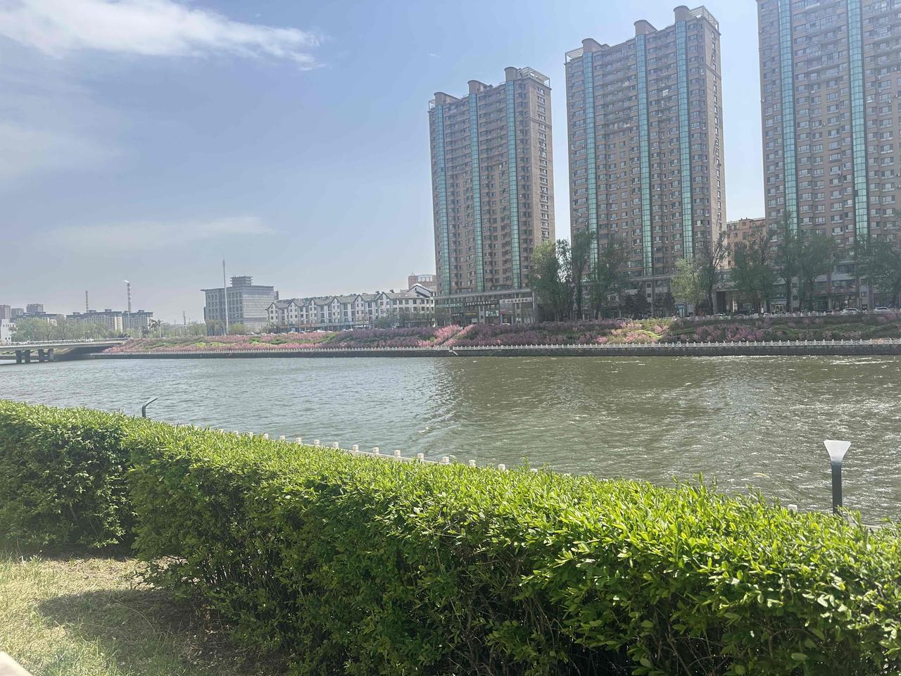 分享随手拍的景色原创美景随手拍绝美风景随手拍散步美景随手拍