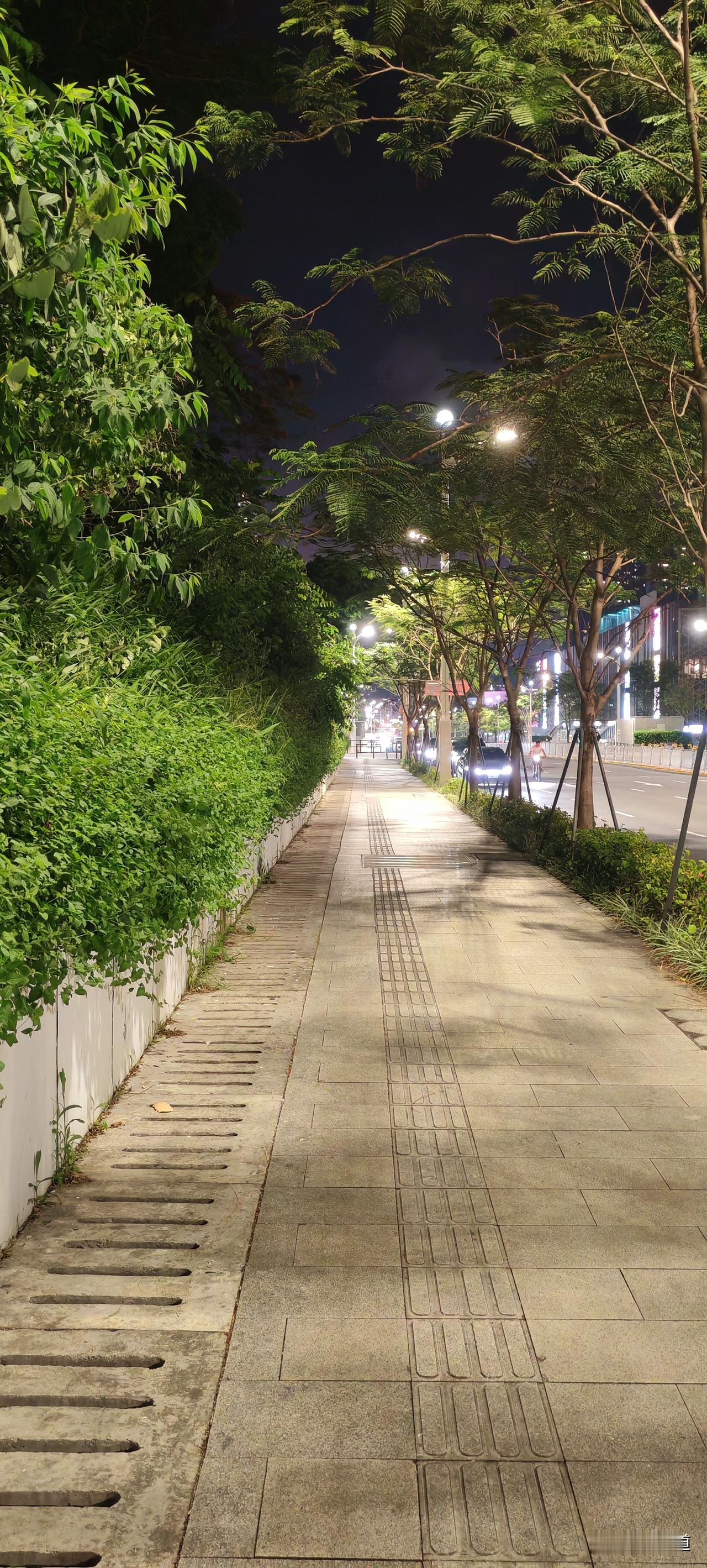我回来了，我跑步回来了。照例跑了5000步，半个小时，出了一身的汗，衣服都湿透了