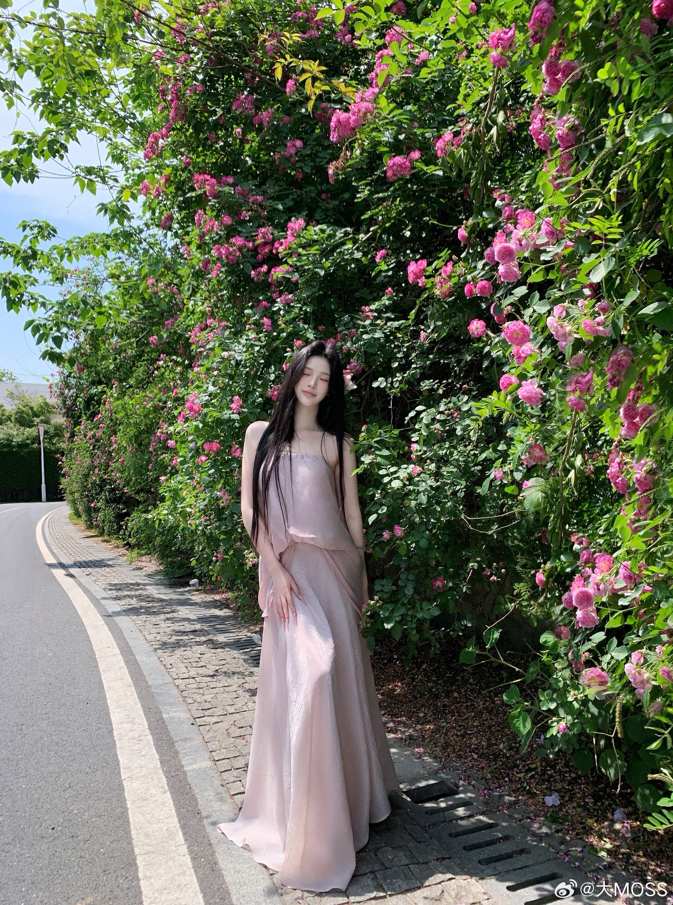 𝑴𝑶𝑺𝑺𝟓.𝟑𝟏/𝟐𝟎:𝟎𝟎𝒑𝒎【粉雾清辉】🎀🌺