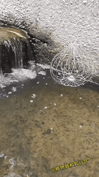 救命！第一次在鱼脸上看见“震惊”二字！网友笑疯：这鱼的表情包够我笑一年！鱼：这辈