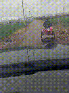 破防了！2月27日，河南一位车主开车途经乡间小路，远远看见前方有个特别的身影，不