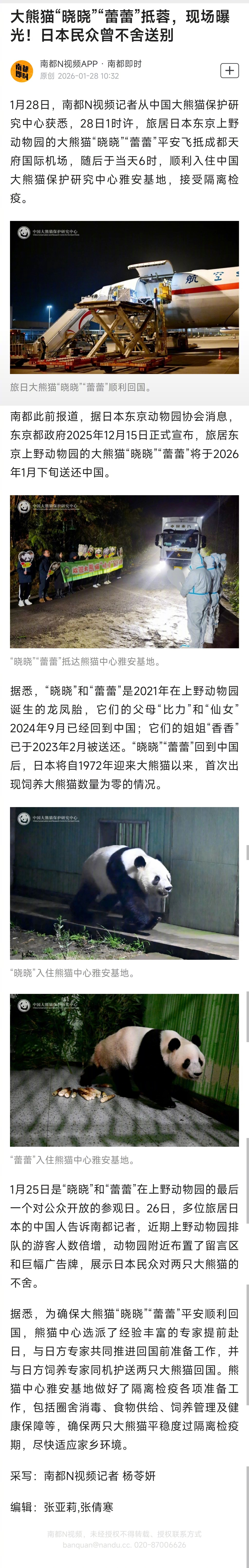 #大熊猫晓晓蕾蕾平安抵达雅安#【大熊猫“晓晓”“蕾蕾”抵蓉，现场曝光！日本民众曾