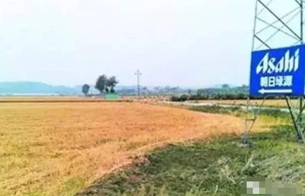 日本人拿出15亿，在山东租下1500亩土地，奇怪的是地里啥庄稼都不种。四周立起铁