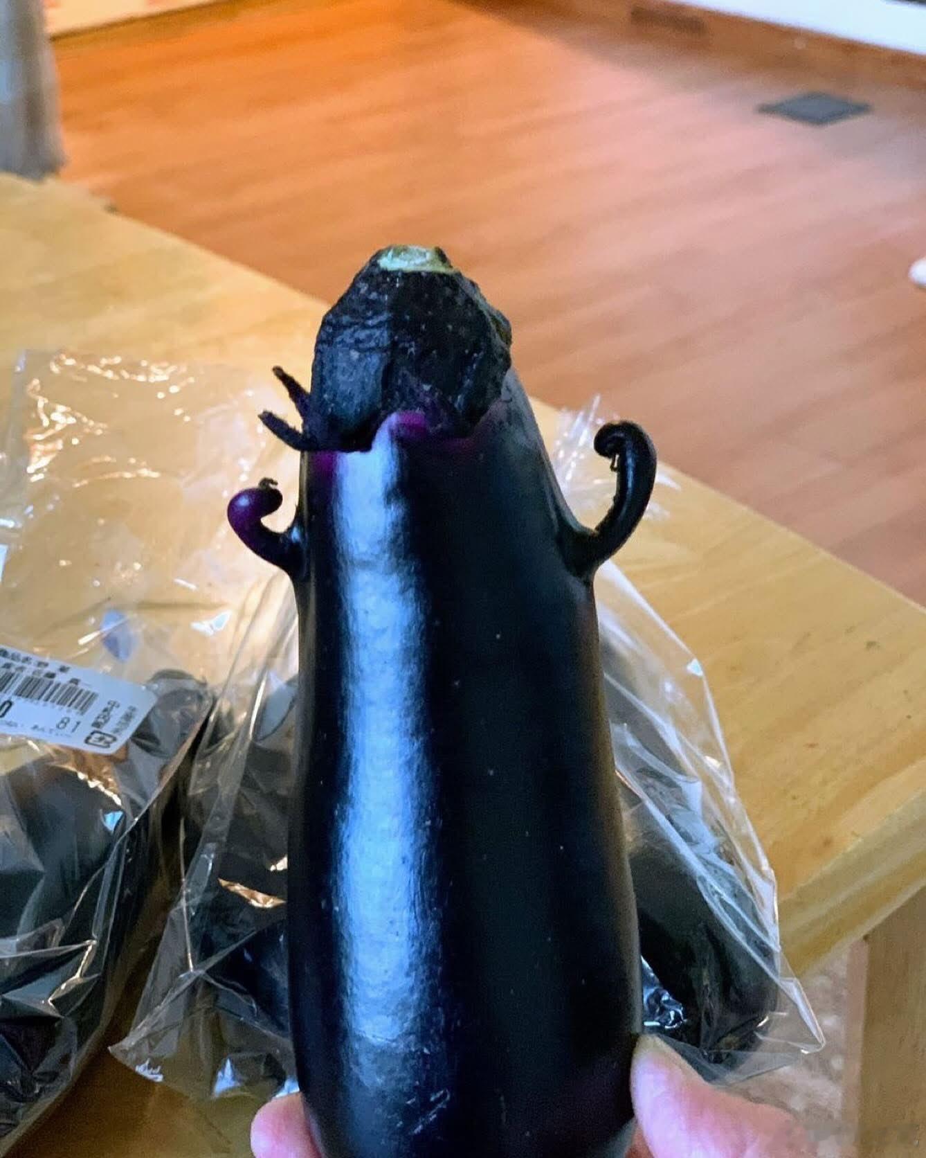 【努力的茄子🍆】