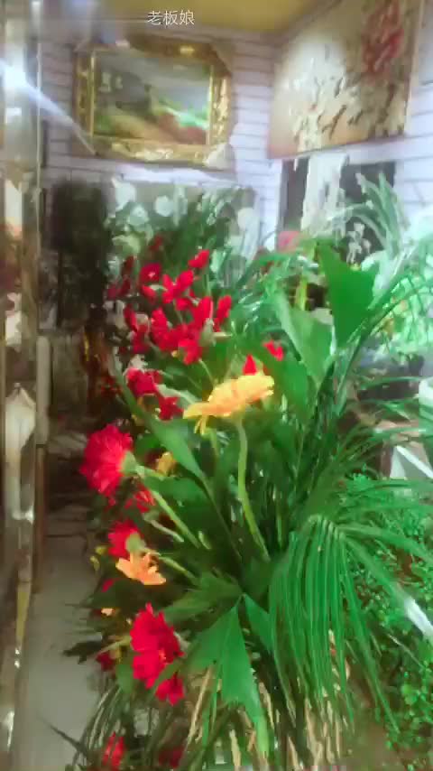 8811061860285706100.jpg?id=0