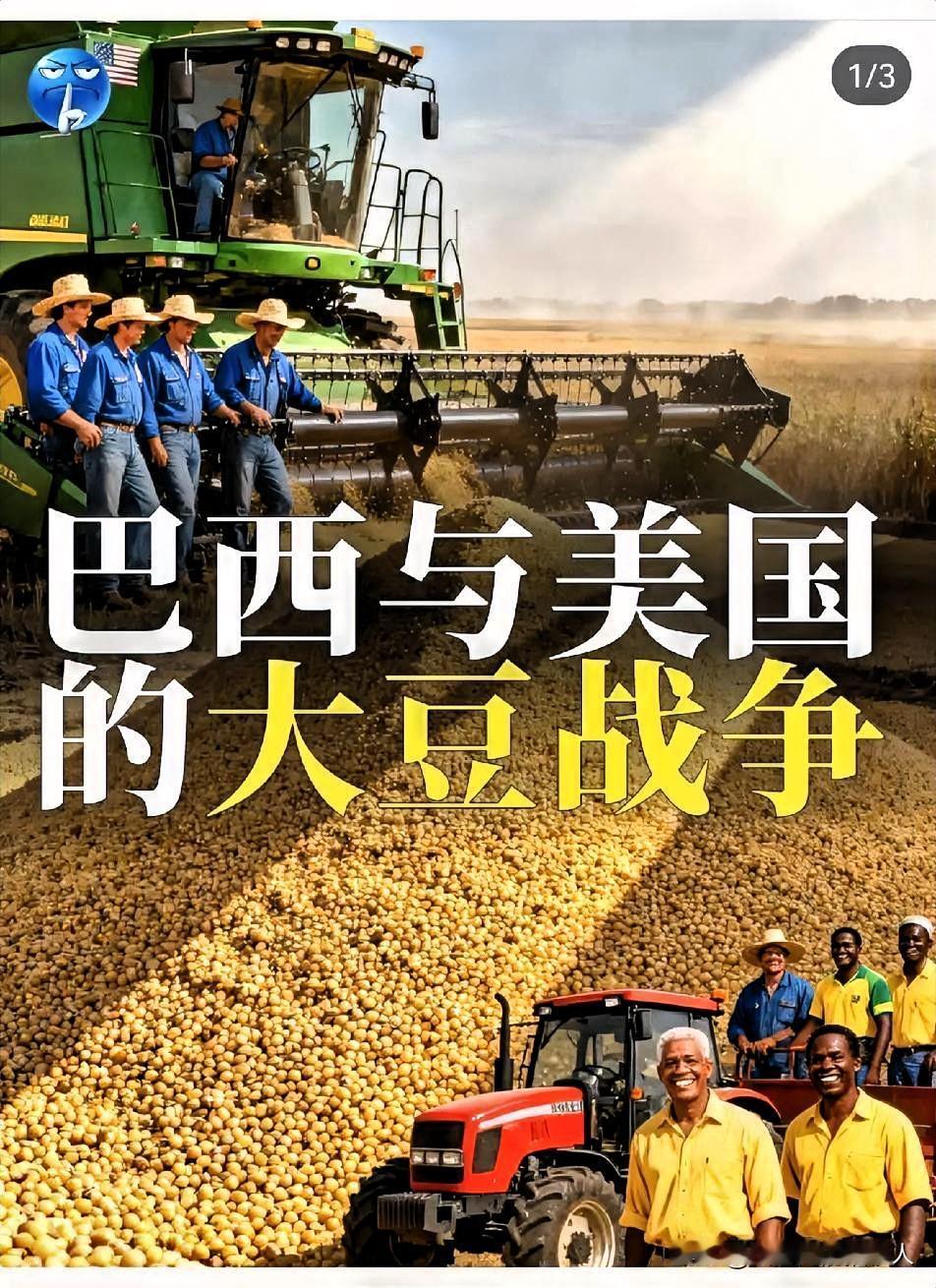一夜之间，巴西沉默了！巴西大豆价格攀升至650美元/吨，这让巴西大豆商欣喜不