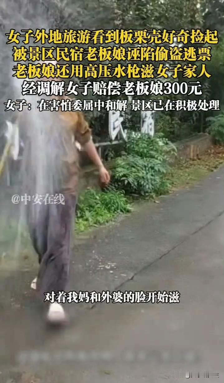 花果山民宿老板娘本该操心客房满不满菜单来不来得及做现在却要面对另一种