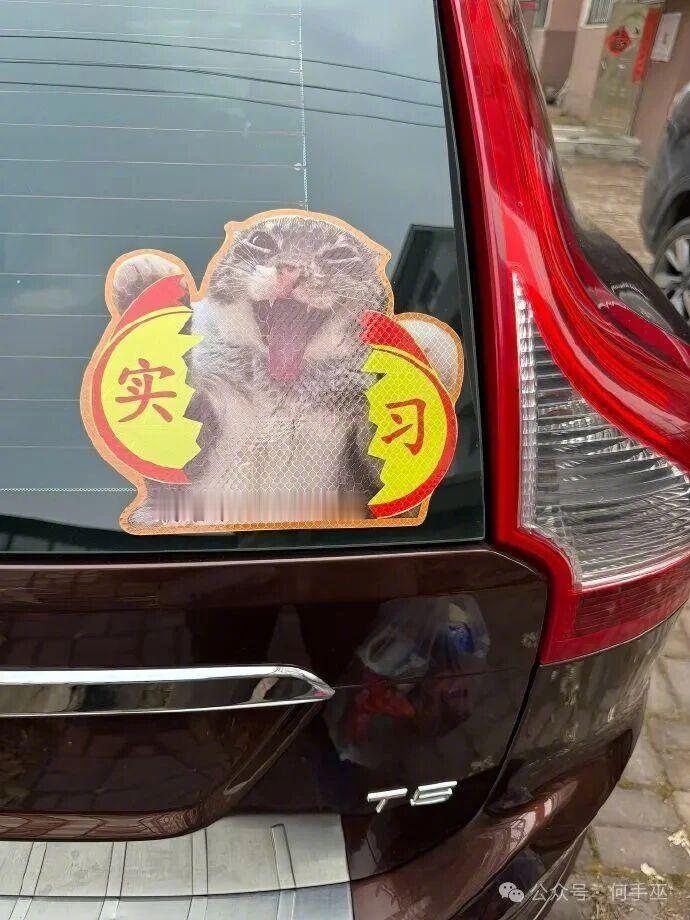 哈哈，现在是新手膨胀期！
