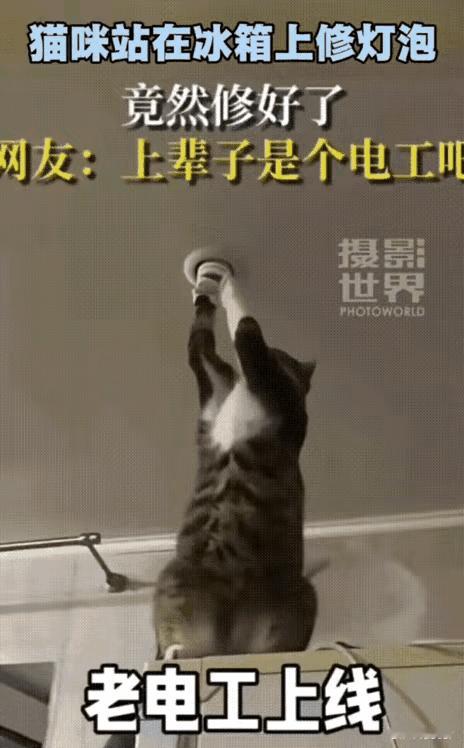 太有灵性了！山东，一家人吃晚饭时，客厅里的灯突然熄灭了，男主人手忙脚乱找原因，家