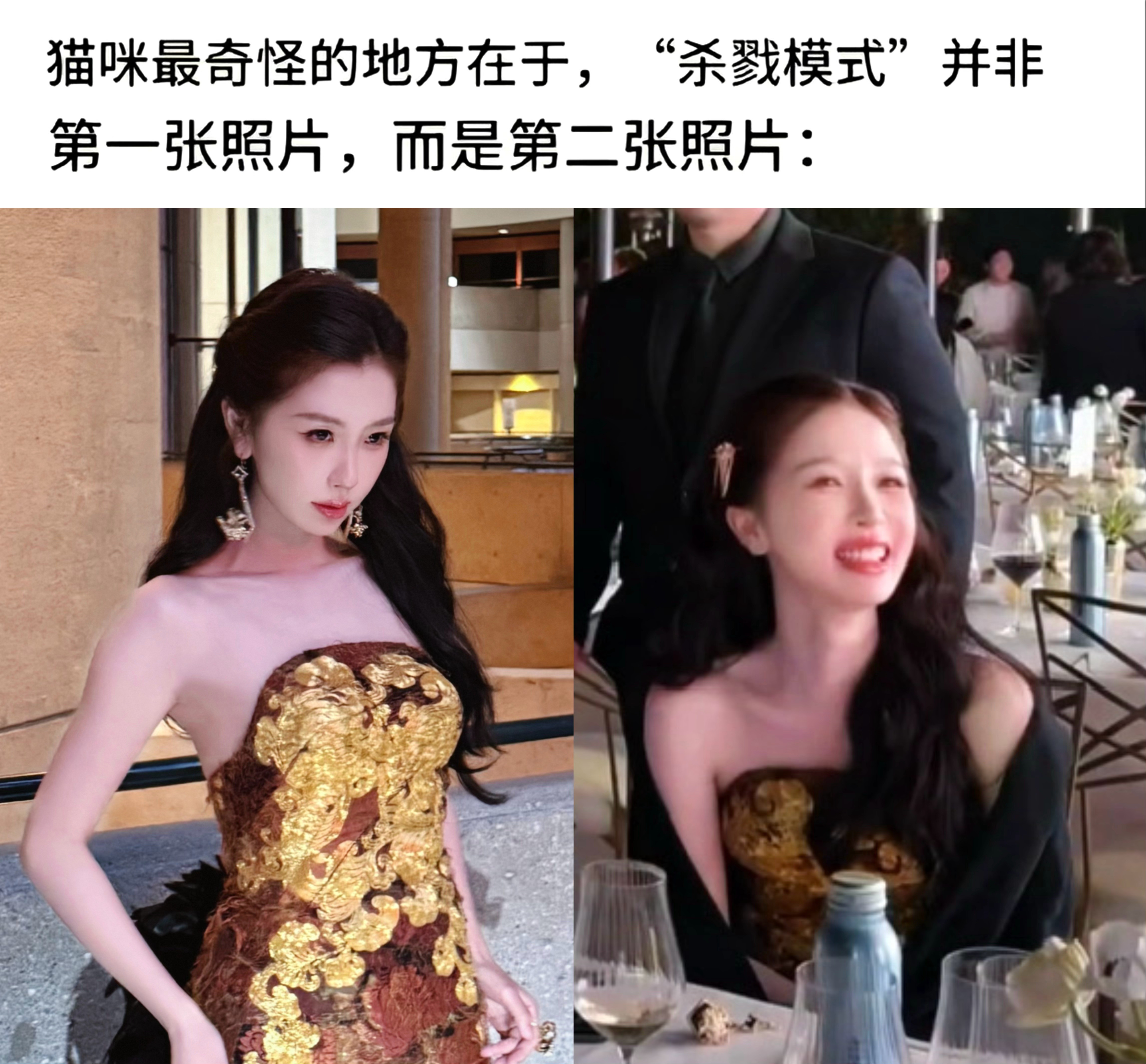 猫咪最奇怪的地方在于…