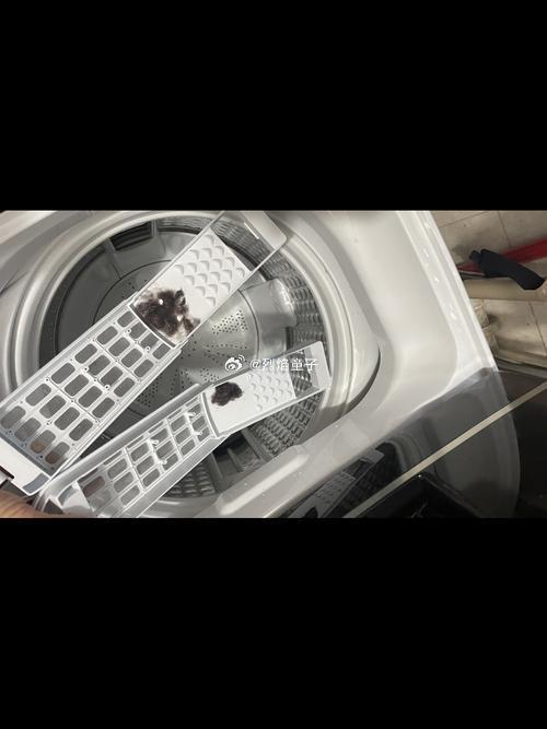 养宠家庭如何选洗衣机家里养着毛孩子的都知道，洗衣服最头疼的有这么几个问题。1