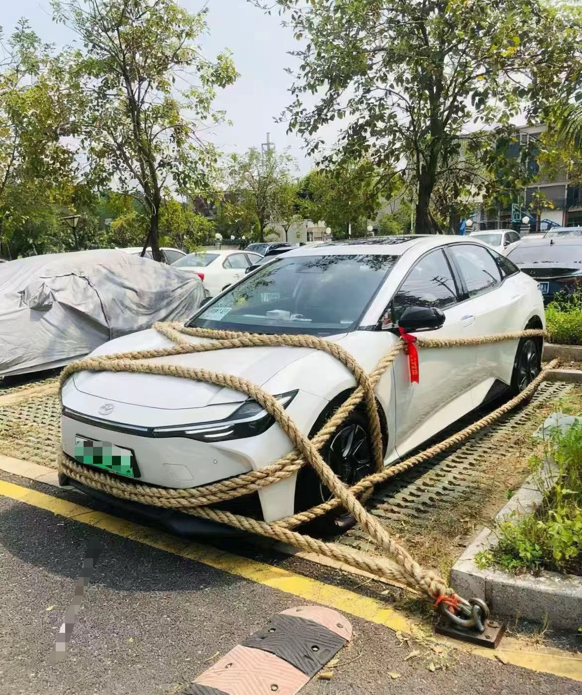 不好意思，没忍住笑。​​​